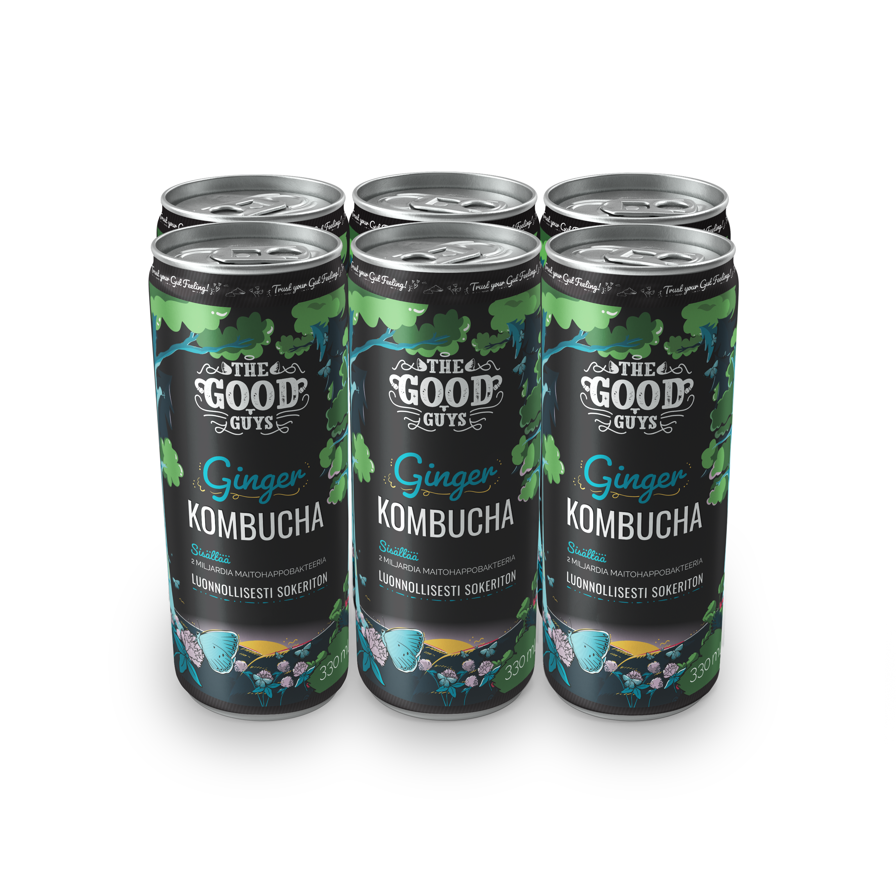 Ginger Kombucha Sugarfree – The Good Guys