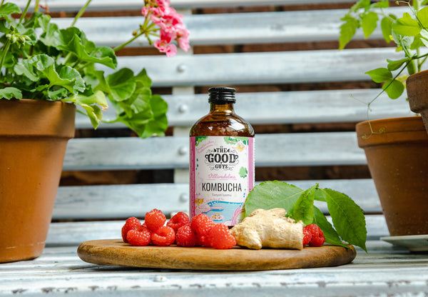 Villivadelma Kombucha, 10 x 350ml, Luomu
