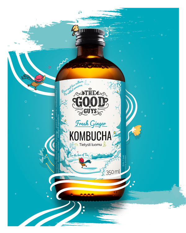 Fresh Ginger Kombucha, 10 x 350ml, Luomu